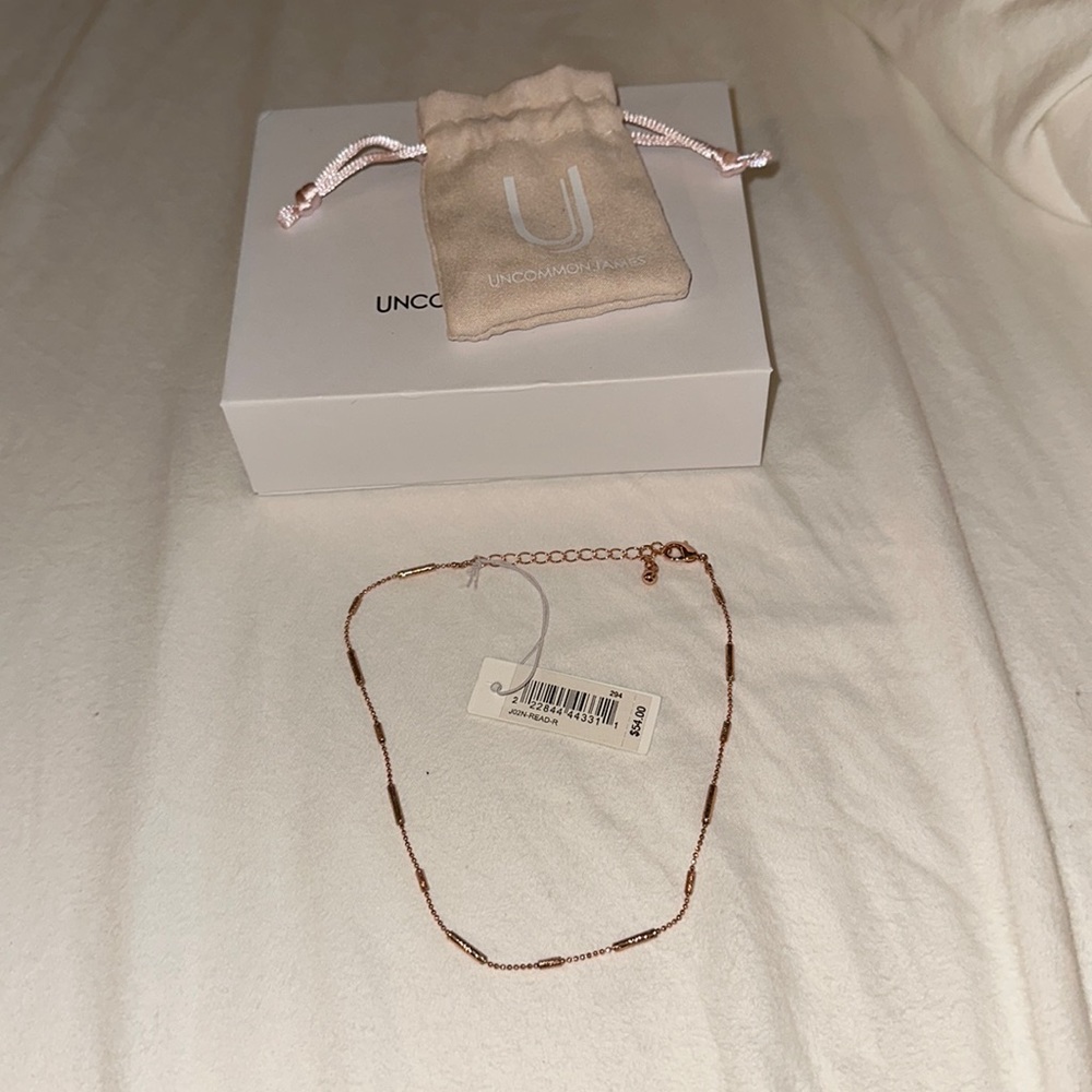 Uncommon James Choker Necklace